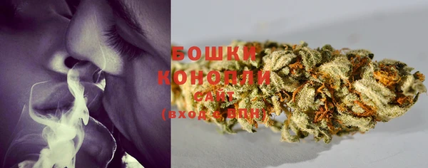 шишки Волосово