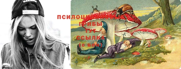 прущая мука Володарск