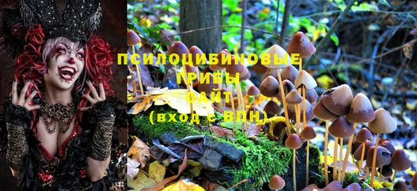 прущая мука Володарск