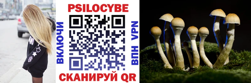 купить   Павлово  Псилоцибиновые грибы прущие грибы 